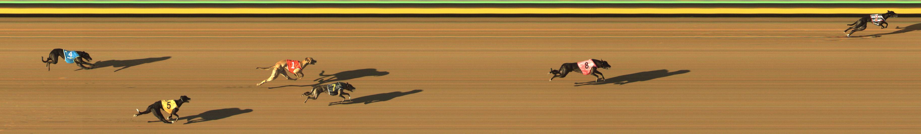 Race result finish photo